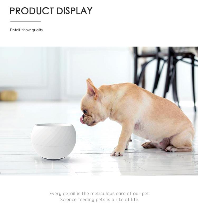 2021 New Design Pet Dog Slow Feed Bowl Colored Anti Choke Plastic Dog Eating Feeding Bowls 